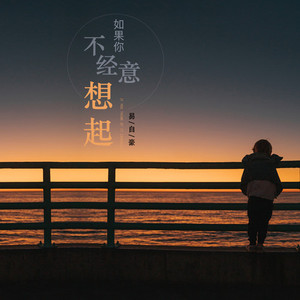 A系例日本大胸美女
